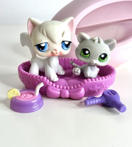 And kitten cat - 9,