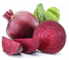 Vegetable Plants - Beetroot