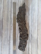 1 x Natural Wood Bark Piece