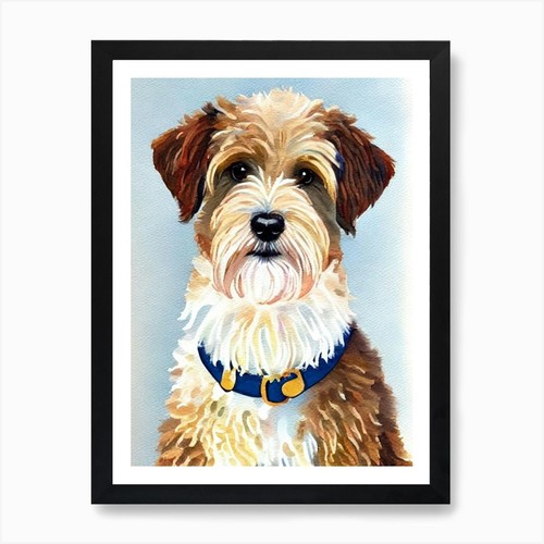 Soft coated wheaten terrier - soft,