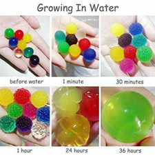 1000 WATER BEADS  JUMBO