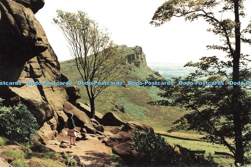 D250900 staffordshire hen - d250900,