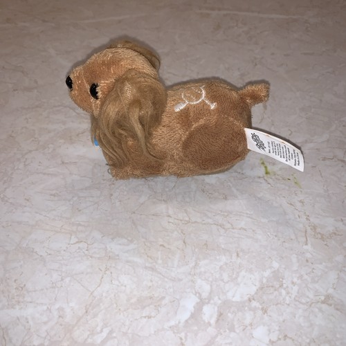 Zhu pets dog - dog, murphy