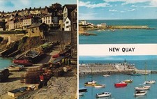 🌅 NEW QUAY / CEI NEWYDD