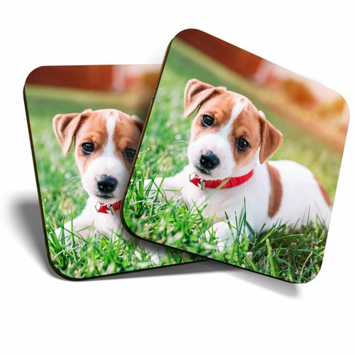 Coasters jack russell - 2,