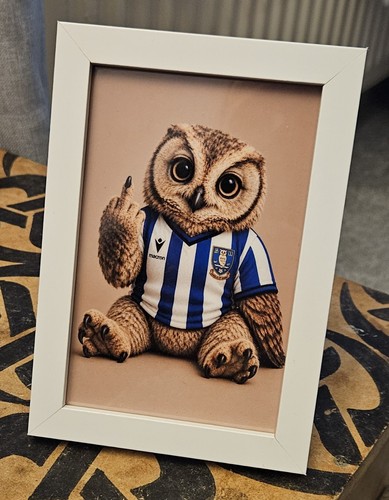 Sheffield wednesday yours - sheffield,