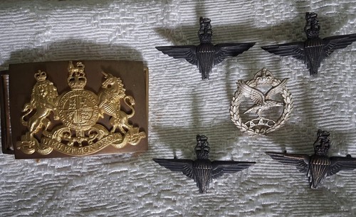 Parachute regiment aac - regiment,