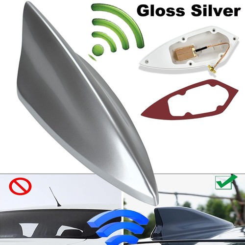 Universal gloss silver car - universal,