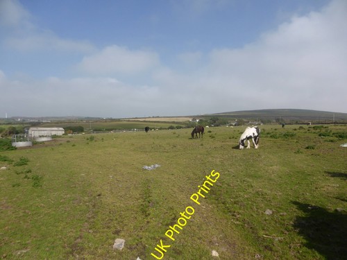 Photo 8x6 pasture - land, near