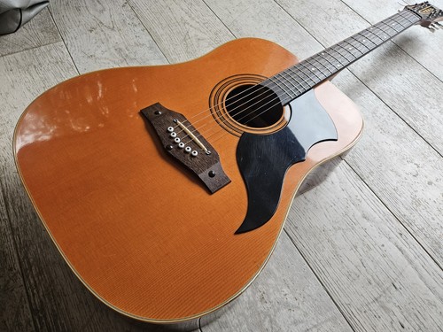Eko ranger incredible - ranger, 6