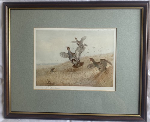 Archibald thorburn - thorburn, (1860-1935)