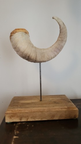 Ram horn display - stand, wooden