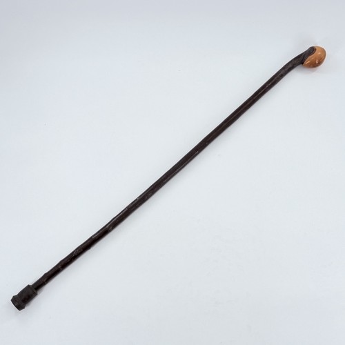 Antique burl wood - burl, 19th