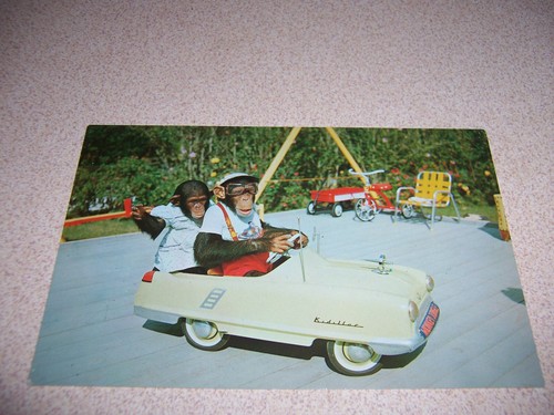 1950s kidillac pedal - pedal, at