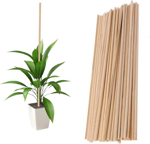 45pcs 40cm bamboo plant - 45pcs,