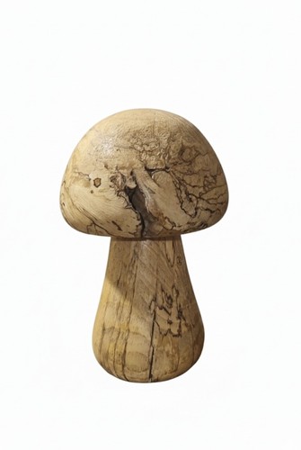 Spalted willow wood mushroom - spalted,