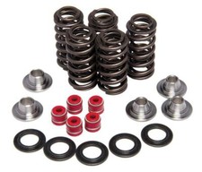 VALVE SPRING SET YZF450 03-09