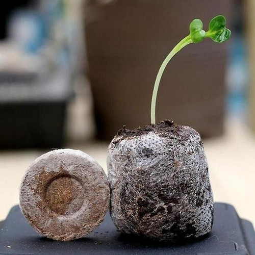 Jiffy peat plug pellets - jiffy,