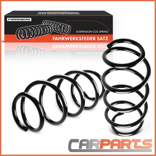 Springs suspension spring - 2x,