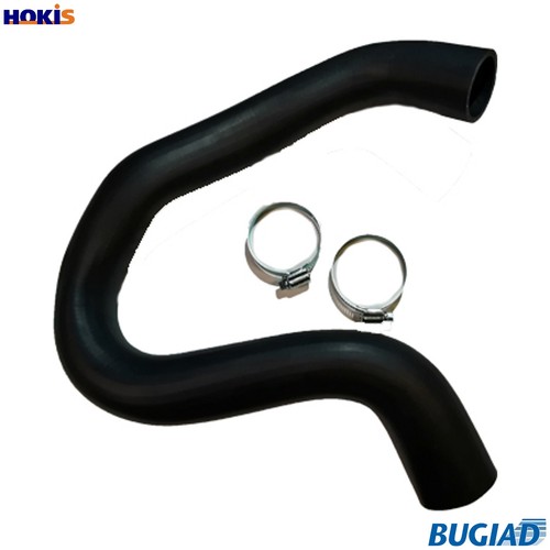 Charge air hose - charge,