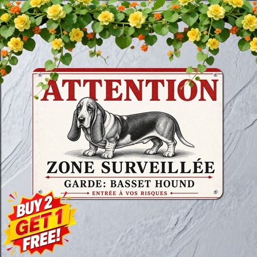 Basset hound french notice - hound,
