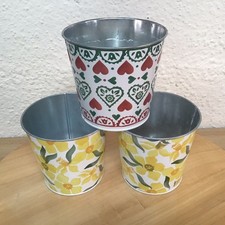 Emma Bridgewater M&S Plant