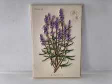 Vintage M&S Ceramic Hanging