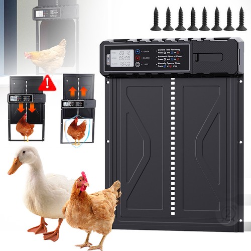 Automatic chicken coop door - automatic,