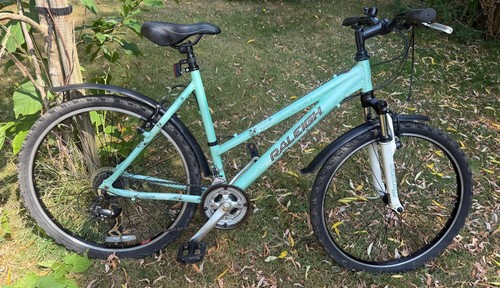 Raleigh all terrain - all,