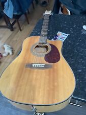Vintage VEC500MP electric-acoustic guitar with case ex Robbie Williams donation