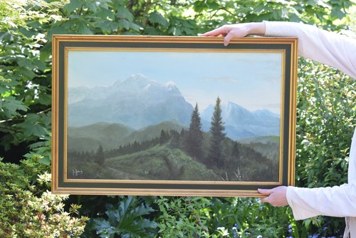Framed signed oil painting - framed,