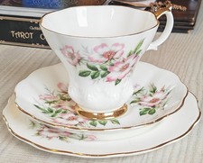 Royal Albert Friendship Series