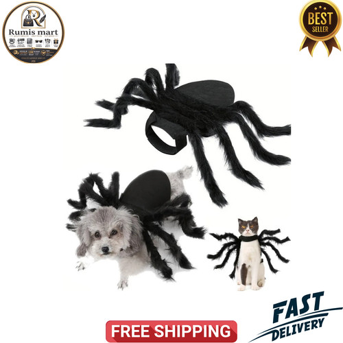 Halloween pet black spider - pet,