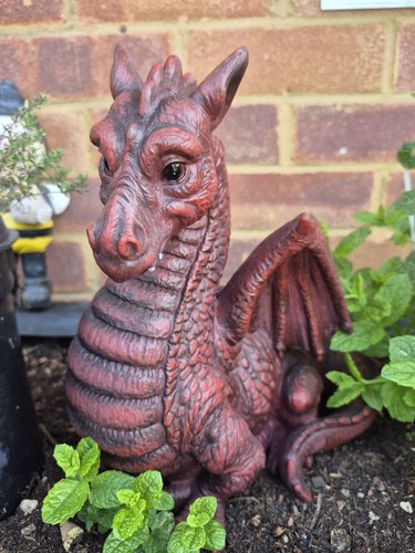 Stunning dark red winged - dark,
