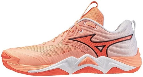 New mizuno volleyball shoes - new,