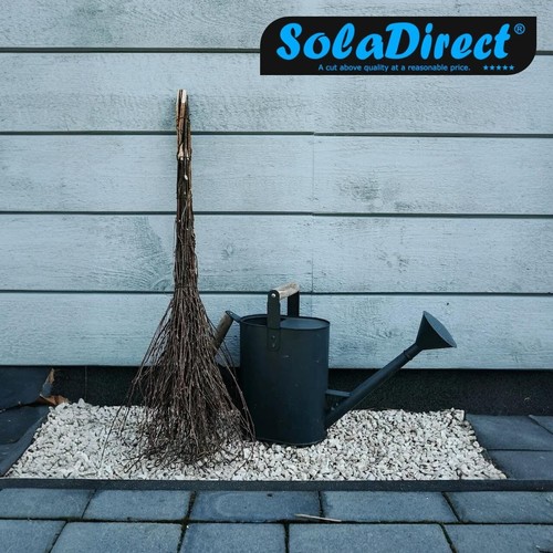 Witches broom straw - broom,