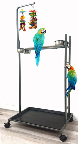 Xlarge parrot bird wood - xlarge,