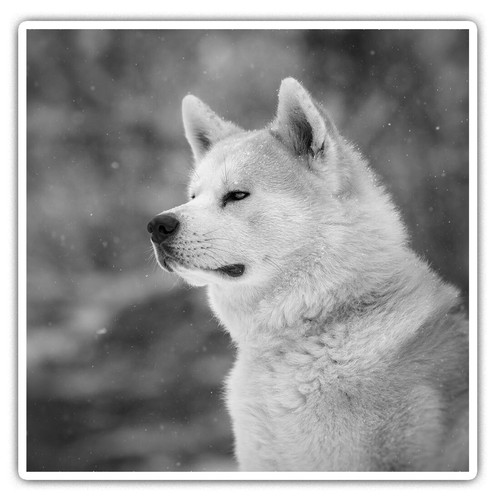 Square stickers cm - square,