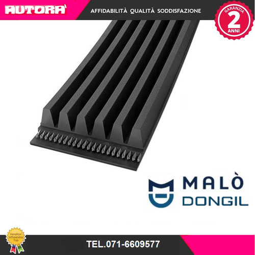 4pk841 poly belt dongil - belt, (dongil