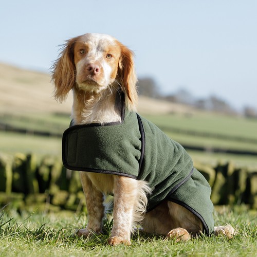 Dog field - dog, field™