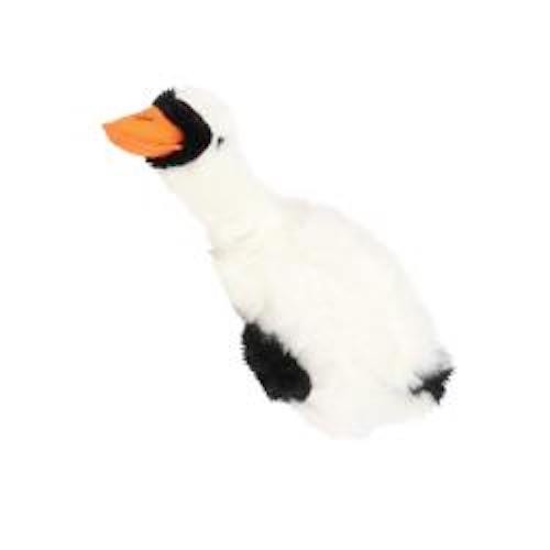 Migrator swan goose pheasant - swan,