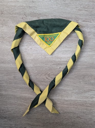 Scout youth necker scarf - scout,