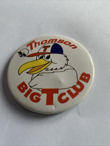 Vintage thomson holiday pin - thomson,