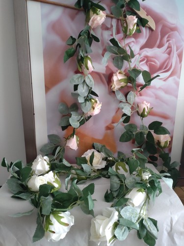 Beautiful garland roses x - beautiful, of