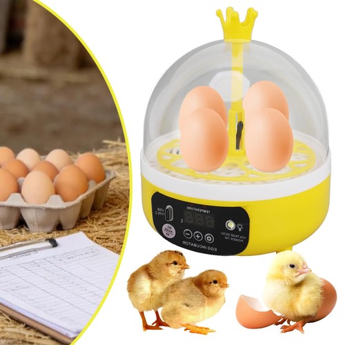 Incubator for hatching egg - incubator,