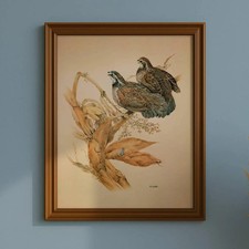 1981 Bobwhite Quail Colonys Virginianus Maurice Pledger Vintage 11.5 x 16.5 in