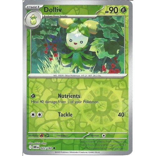 022 182 dolliv reverse - dolliv, :