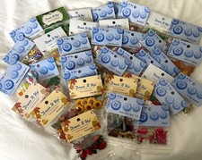 Dress It Up Buttons - AUTUMN