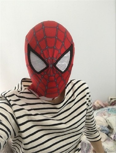 The amazing spider - the, mask