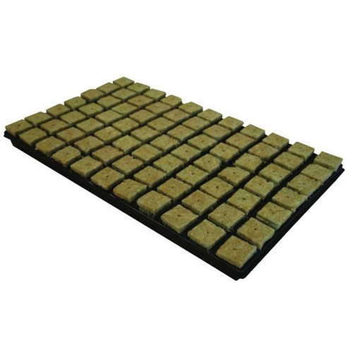 Cultilene 36mm 6cm - 77, sbs